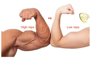 armen gespierd en dun, low vs high reps