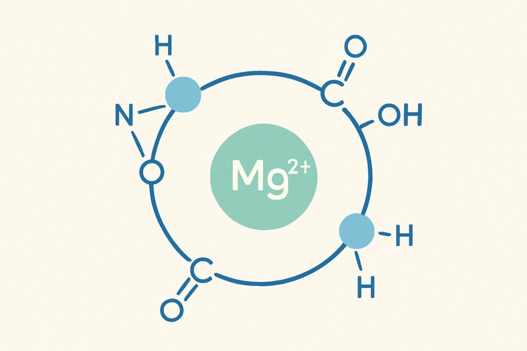 Chemische structuur van magnesium gebonden aan glycine